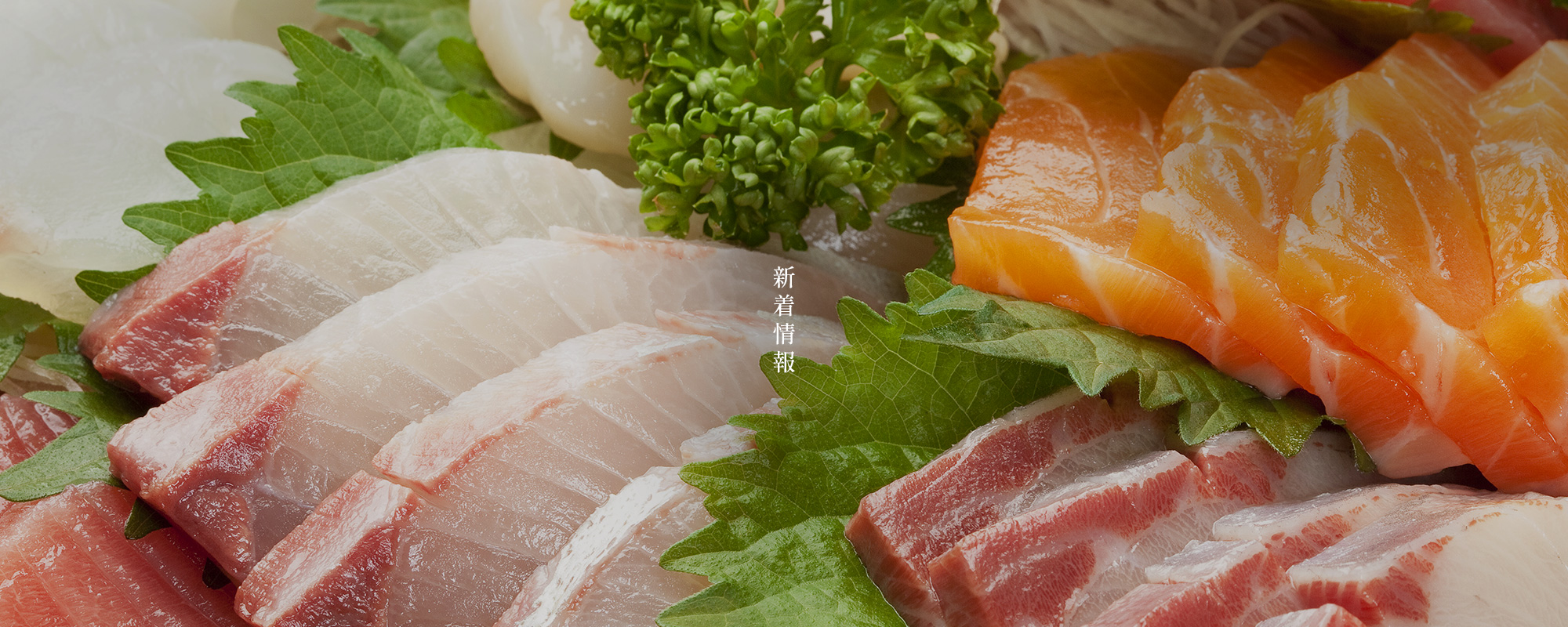 新着情報